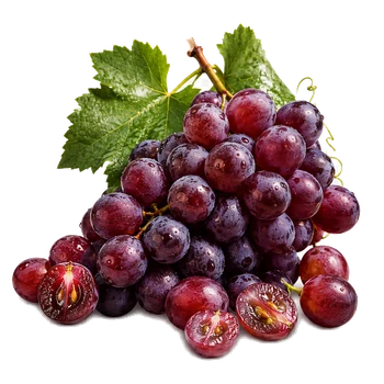 Resveratrol